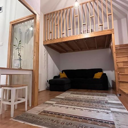 Downtown Apartment 티미쇼아라 외부 사진