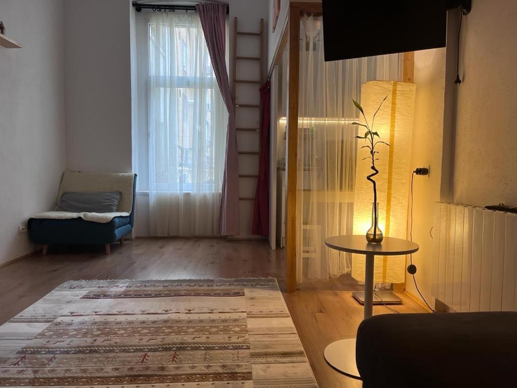 Downtown Apartment 티미쇼아라 외부 사진