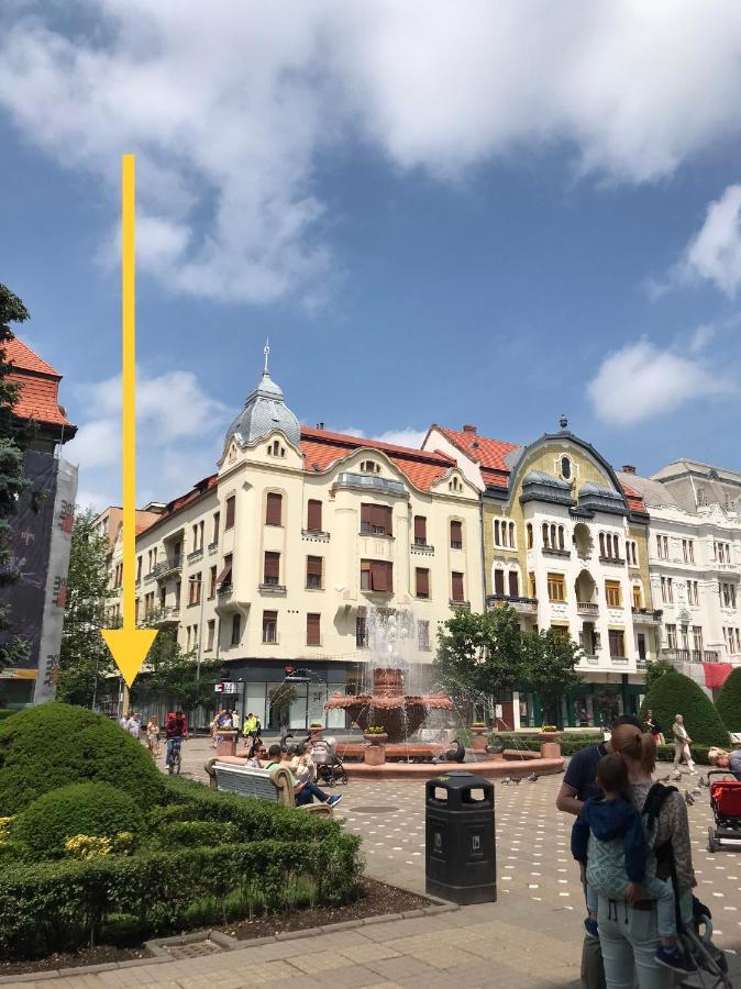 Downtown Apartment 티미쇼아라 외부 사진
