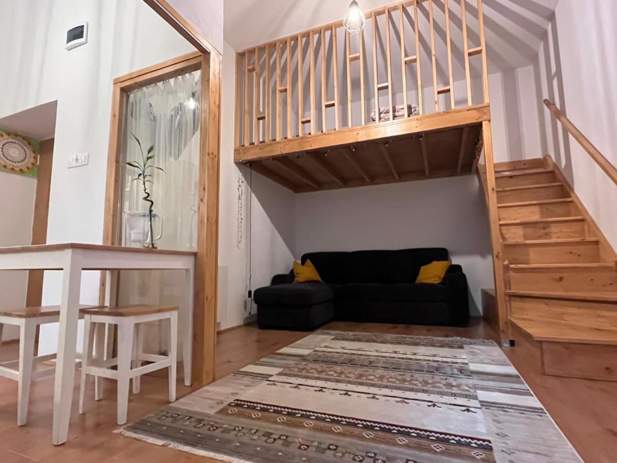 Downtown Apartment 티미쇼아라 외부 사진